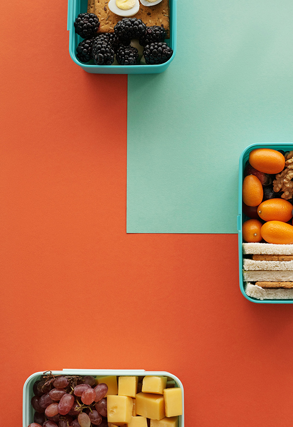 Nutrition, Diet Plan & Progress Tracking